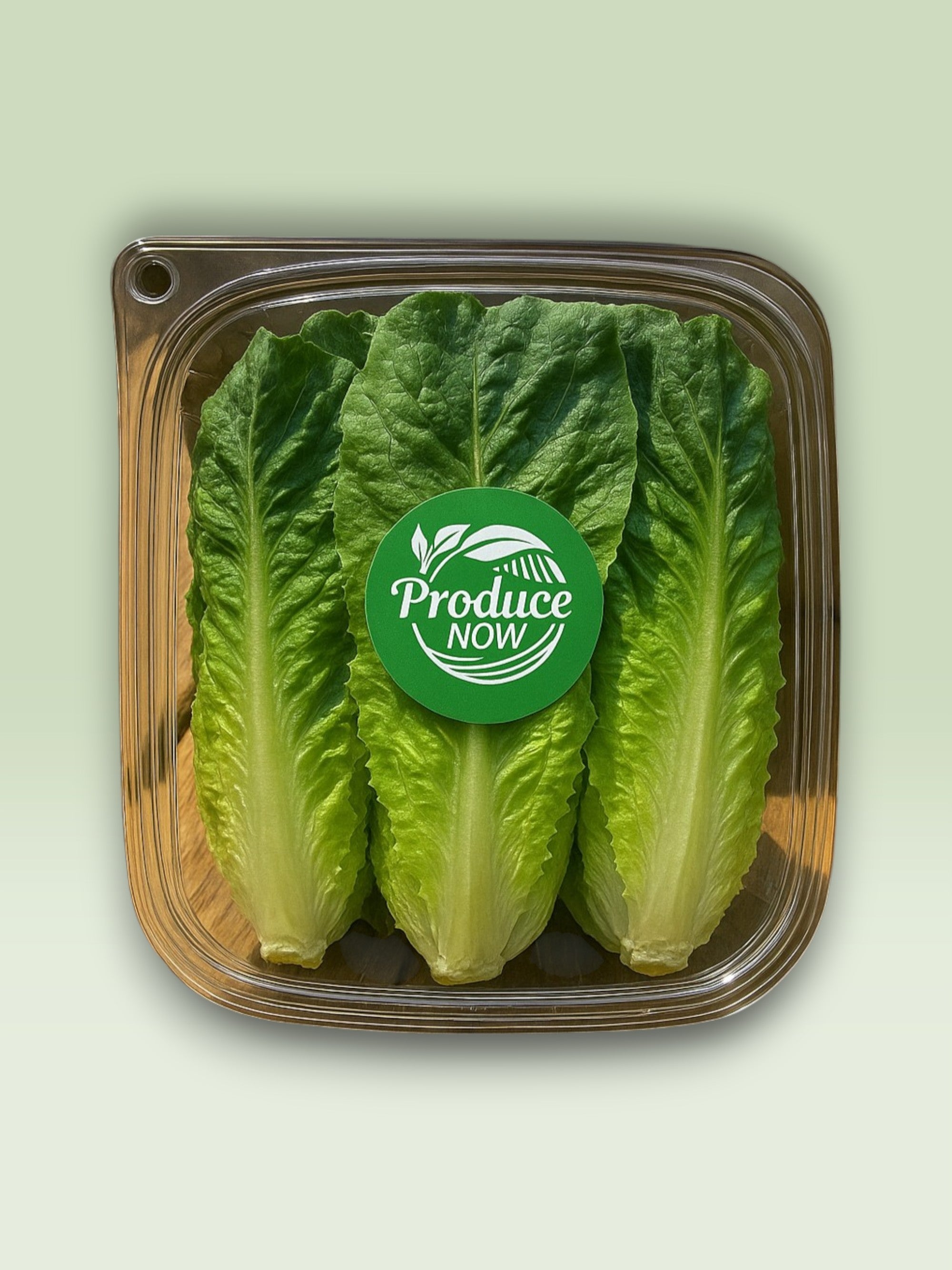 Hydro Clean Lettuce