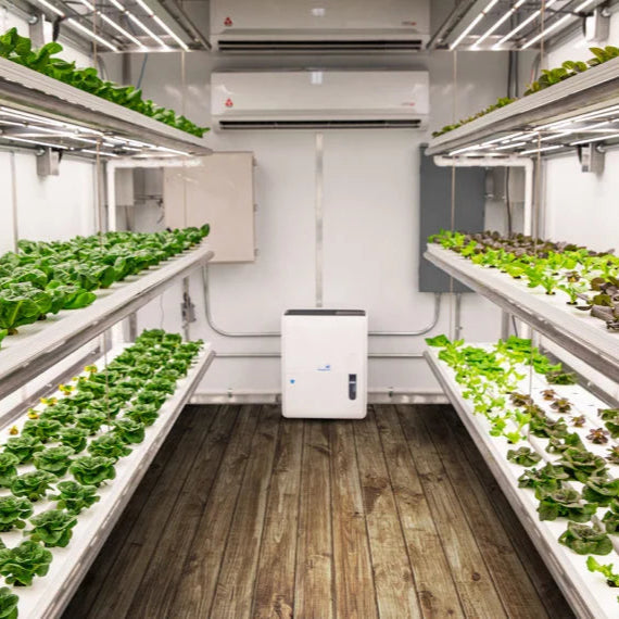 Produce_Now_Growmax_Hydroclean_Farming