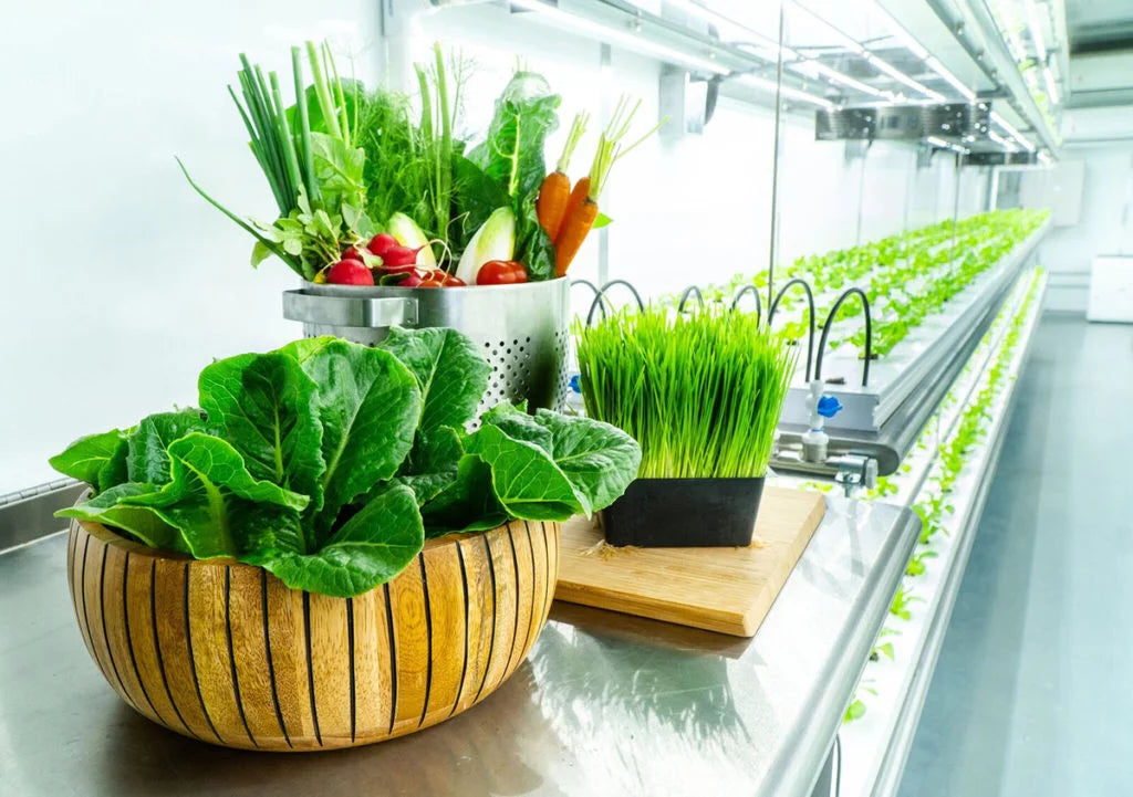 Produce_Now_Growmax_Hydroclean_Farming_Produce