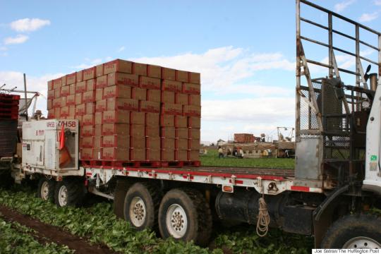 Produce Now Long Food Miles3