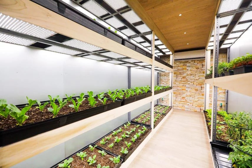 Produce_Now_Microgreens_Hydroclean