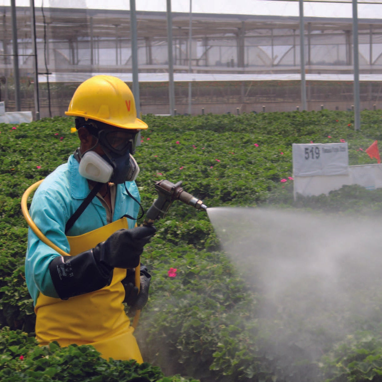 Produce Now Pesticide Problem