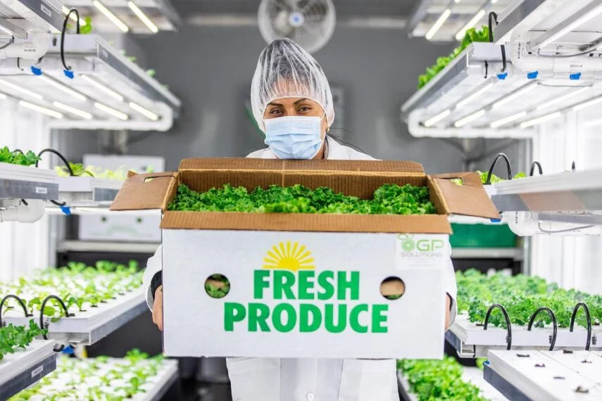 Produce_now_fresh_produce_Hydroclean